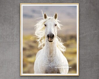 Wild Horse Photography Wild White Adobe Town Stallion Print - “Freedom’s Call”