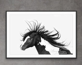 Wild Horse Photography Wild Stallion Washakie Print “Black and White Stallion”