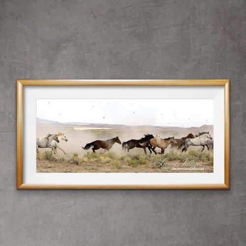 Wild Horse Photography Wild Stallions Released Adobe Town Print “Leaping to Freedom”