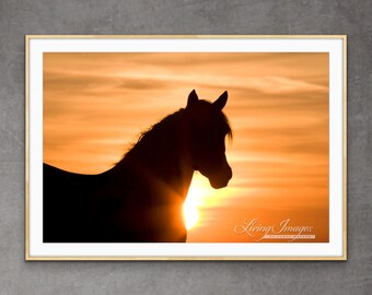 Wild Horse Photography Wild Stallion Silhouette Print - “Wild Stallion at Sunrise”