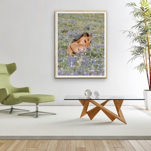 Wild Horse Photography Pryor Mountain Wild Foal Flowers Print Foal in the Lupine image 3