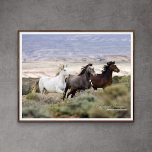 Wild Horse Photography Wild Horse Adobe Town Mares  Print - “Three Mares Running”