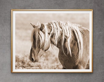 Wild HorsePhotography Wild Stallion Sepia Wind Knots Print - “Wild Mane”