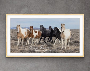 Wild Horse Photography Pinto Wild Horse Family Print - “Storm’s Colorful Wild Horse Family”