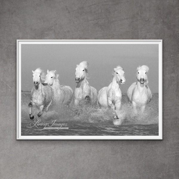 Impression de photographie de chevaux blancs de Camargue - « Cinq chevaux blancs »