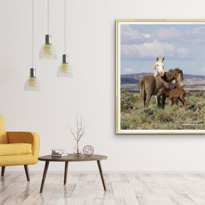 Wild Horse Photography Wild Adobe Town Mare and Foals Print Adobe Town Family image 2