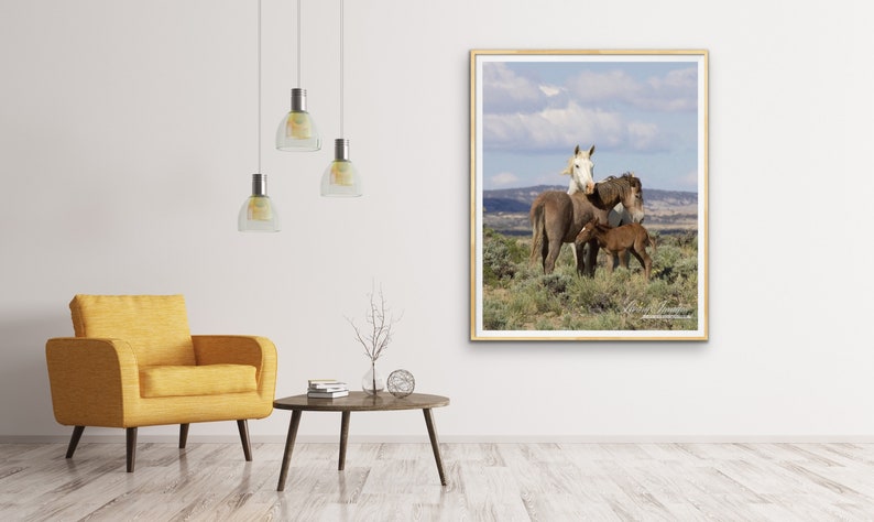 Wild Horse Photography Wild Adobe Town Mare and Foals Print Adobe Town Family image 2