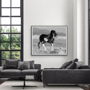 Wild Horse Photography Washakie Wild Pinto Stallion Print Black and White Stallion Walks immagine 3