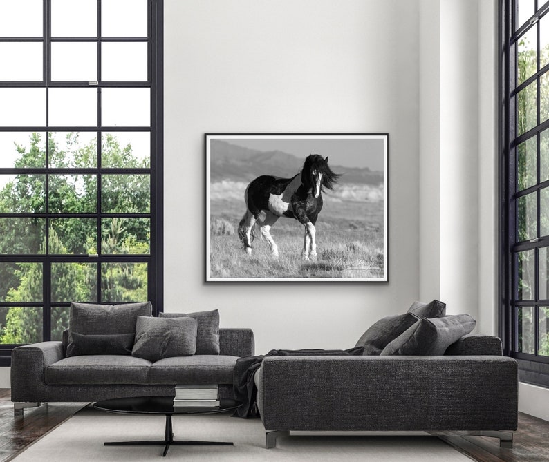 Wild Horse Photography Washakie Wild Pinto Stallion Print Black and White Stallion Walks immagine 3