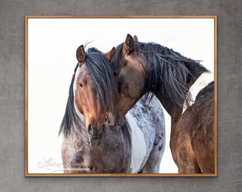 Wild Horse Prints