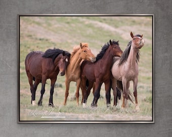 Wild Horse Photography Wild Horse Family Adobe Town Print - “Wild Family Leans”