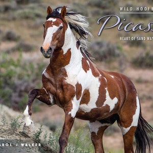 Wild Horse 2024 Wall Calendar - Discounted- Picasso: Heart of Sand Wash Basin, 50% off