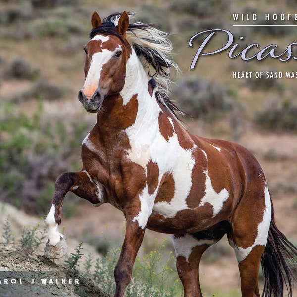 Wash a Horse - Etsy