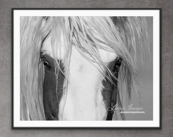 Wild Horse Photography Wild Pinto Stallion Thor Print - “Thor’s Eyes”