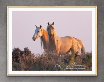 Wild Horse Photography “Cheyenne and Corona at Dawn II” Wild Horse Wall Art Corona Sand Wash Basin Wild Horse