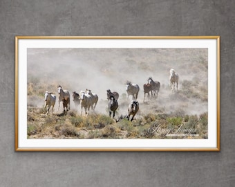Wild Horse Photography Wild Horses Running Adobe Town Print - “Wild Adobe Town Horses Run Together”