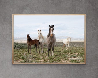 Wild Horse Photography Wild Horses Mare Stallion Foals Print “Adobe Town Family”