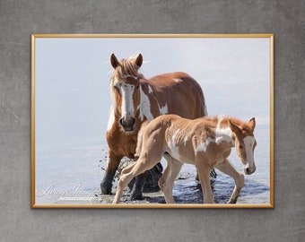 Wild Horse Photography Wild Horse Sand Wash Basin Pinto Stallion Van Gogh Fine Art Print- “Father and Son at the Waterhole”