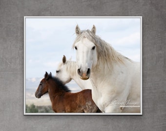 Wild Horse Photography Wild Horses Adobe Town Print - “Adobe Wild Horse Family”