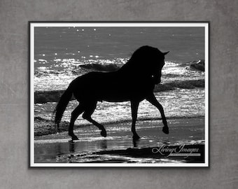 Horse Photography Horse on the Beach Print - “Beach Horse Silhouette”