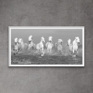 Wild Horse Photography White Camargue Horses Print Camargue Horses Running image 1