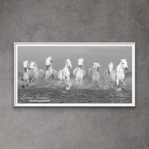 Photographie de cheval sauvage Impression de chevaux Camargue blancs - « Camargue Horses Running »