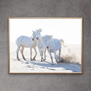 Horse Photography White Camargue Horses Beach Play Print - “Three Play on the Beach”