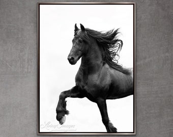 Horse Photography Black Friesian Stallion Print - “Black Friesian Prances”