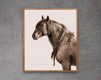 Wild Horse Photography Blue Zeus Horse Print - “Red Desert Wild”