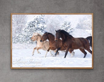 Horse Photography Winter Horses Snow Print - “Three Snow Horses”