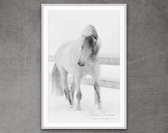 Horse Photography White Andalusian Horse Snow Print - “Snowy Mare Tosses Her Head”