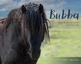 Wild Horse 2024 Wall Calendar- Discounted - Bubba: Wild Stallion of Salt Wells Creek 50% Off Discount