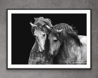 Horse Photograph Dappled Spanish Stallions Print - “Two Andalusian Stallions III”