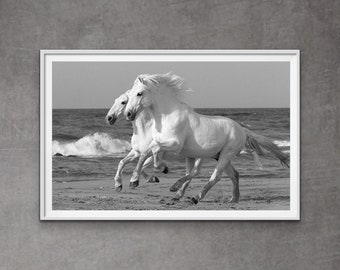 Wild Horse Photography White Camargue Horses Running Print - “White Horses Race on the Sand“