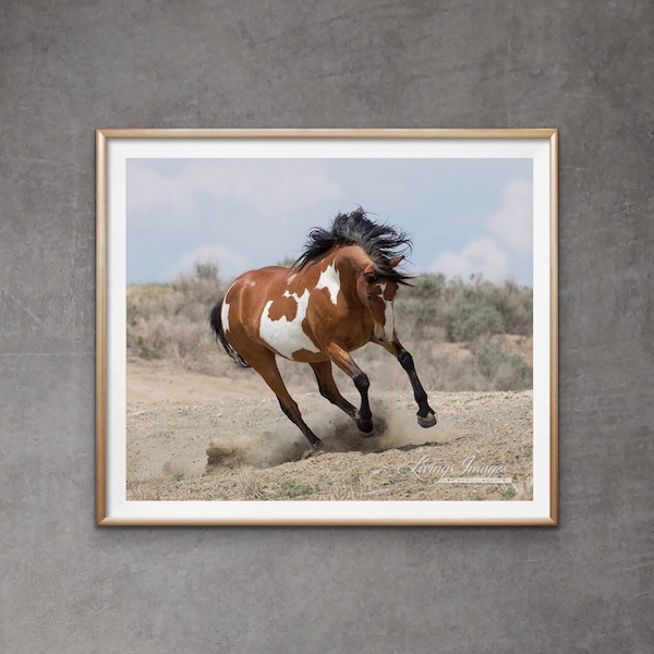 Wild Horse Photography Sand Wash Basin Print - “Wild Mare Runs”