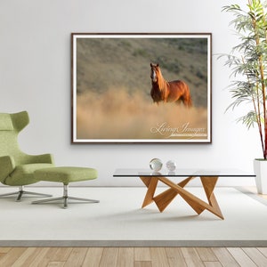 Wild Horse Photography Wild Adobe Town Sorrel StallionPrint Sunrise Stallion image 3