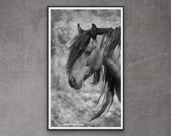 Wild Horse Photography Wild Horse Print - “Freedom’s Profile”