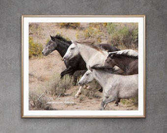 Wild Horse Photography Wild Horses Running Print - “Adobe Grays”