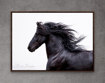 May include: A framed canvas print featuring a black horse with a flowing mane against a white background. The horse is in profile, with its head and neck visible. The print has a dark brown frame and the text "Living Images" is visible.