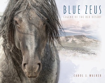 Pode incluir: Um retrato de perto de um cavalo cinza e branco com uma longa crina escura. O olho do cavalo é visível e o fundo é uma imagem desfocada de uma paisagem desértica com o texto "BLUE ZEUS LEGEND OF THE RED DESERT" e "CAROL J. WALKER" na parte inferior.