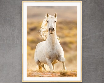 Wild Horse Photography Adobe Town White Stallion Print - “Freedom' Runs Up”
