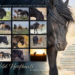 Wild Horse 2024 Wall Calendar Discounted Bubba: Wild Stallion of Salt Wells Creek 50% Off Discount image 2