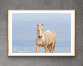 Wild Horse Photography "Cloud Walks with the Angels"