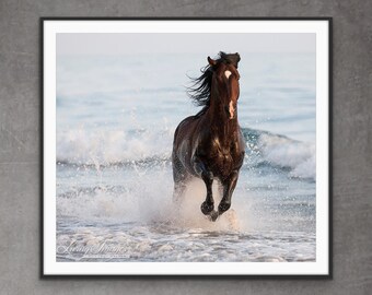 Horse Photography Andalusian Stallion In Ocean Print - ”Stallion Leaps in the Surf”