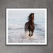 see more listings in the Horse Prints section