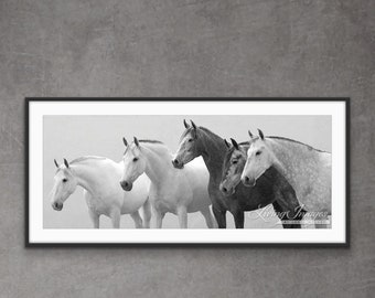 Horse Photography Andalusian Horses Shades of Gray Print - “Five Spanish Mares”
