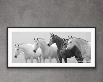 May include: A black and white photograph of five horses standing side by side. The horses are all facing the camera and have their heads turned slightly to the side. The horses are all different colors, with one being a dark brown, one being a light brown, and three being white.