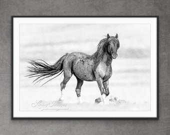 Wild Horse Photography Wild Blue Roan Stallion Blue Zeus Print - “Blue Zeus Runs Up”