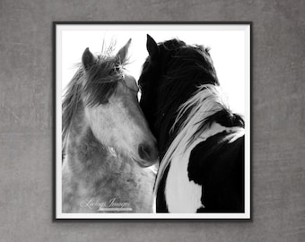 Wild Horse Photography Wild Pinto Stallion Washakie Print - “Two Wild Stallions”