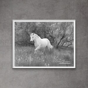 Horse Photography White Camargue Stallion Print - “The White Horse in the Forest”